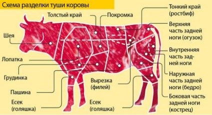 Як зрозуміти, яке м'ясо брати для котлет, а яке для супу, питання-відповідь, аргументи і факти