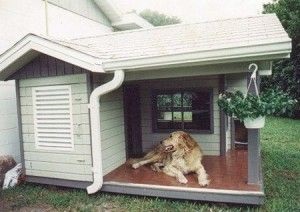 Як побудувати будку для собаки своїми руками покрокове керівництво з фото і відео інструкцією