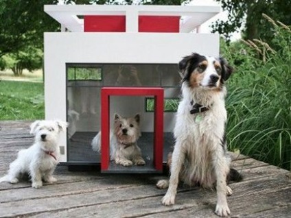Cum să construiți o cabină pentru un câine cu mâinile proprii Ghid pas cu pas cu instrucțiuni de fotografie și video