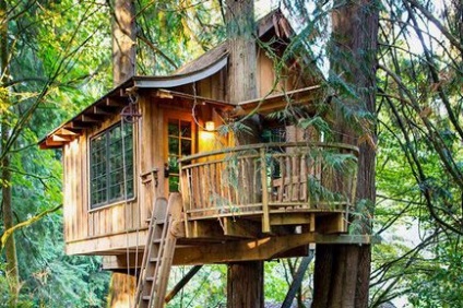 Як побудувати будинок на дереві