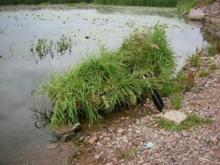 Як правильно підготуватися до полювання на качок на човні і вести стрілянину з під'їзду