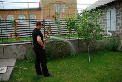Як правильно поливати рослини на дачі способи поливу