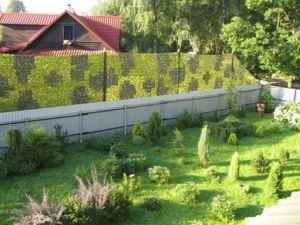 Hogyan számoljuk ki a folyóméter kerítést megjavítani saját kezében (lineáris) Hogyan számoljuk ki a folyóméter kerítést javítani a saját kezét