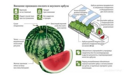 Як перевірити нітрати в кавуні ефективні способи