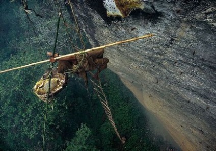 Як збирають мед в Непалі, як це зроблено