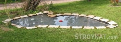 Hogyan tervezzünk egy tó a pázsiton, és akkor lehet építeni, hogy saját kezével (a) Hogyan tervezzünk egy tó a pázsiton, és akkor lehet építeni, hogy saját kezével