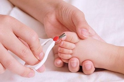 Cum să taie unghiile unui nou-născut, armonie a vieții
