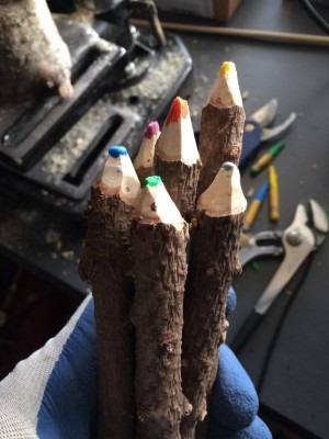 Cum se creează cu mâinile tale creioane din ramuri, clubul - samodelkin