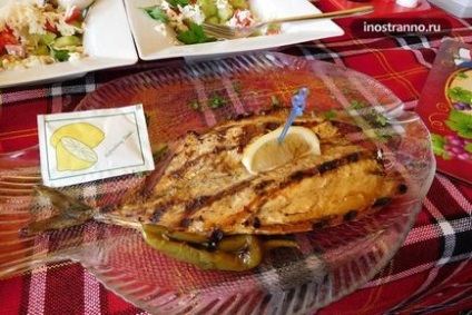 Яку чорноморську рибу варто спробувати в Болгарії