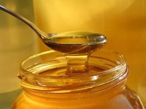 Як вибрати мед основні помилки