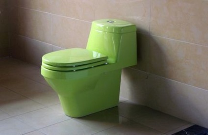 Cum de a alege toaleta corect criteriile principale atunci când cumpără și recenzii de utilizator