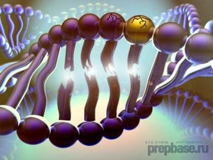 Cum să eliminați toxinele din organism la domiciliu