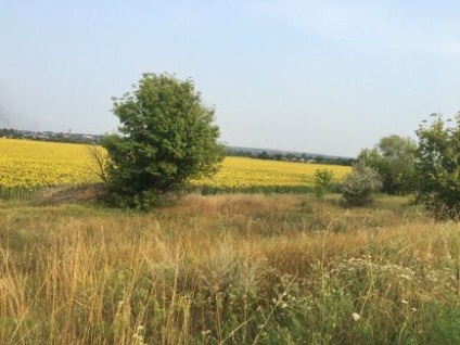 Ca comerciant de cereale zitssprjanedatel a devenit