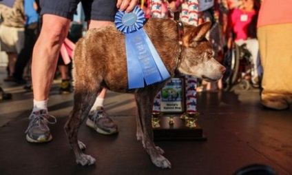 Каліфорнійський конкурс найпотворніших собак