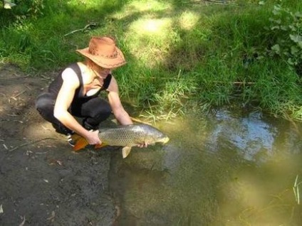 Carp a felszínen - ponty a felszínen - horgászat - információs és szórakoztató portál