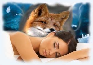 До чого сниться лисиця руда вбити або годувати її уві сні
