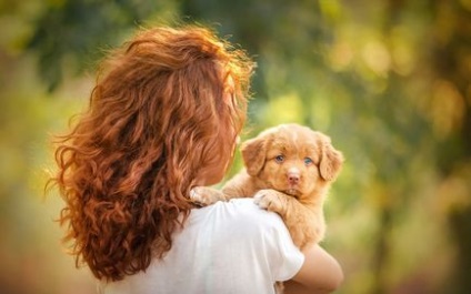 Ce face un câine roșu?