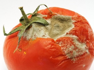 До чого сняться червоні помідори