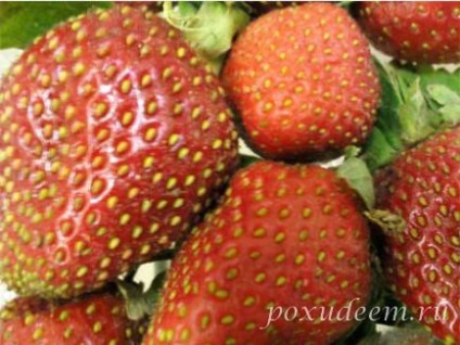 Strawberry (eper) (cukor) Strawberry (eper)