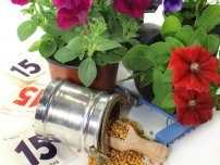 Cafenele - folosim pentru hrănirea și combaterea dăunătorilor, florilor în grădină (gospodărie)