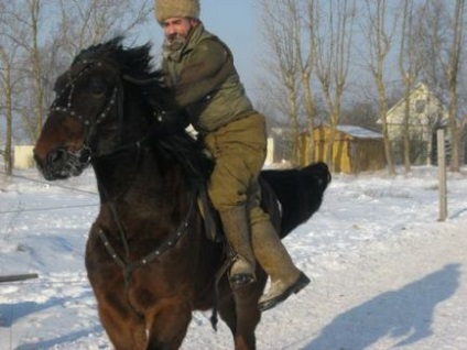 Cal pentru dzhigitovki - site despre cai