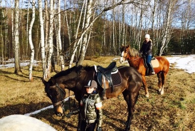 Clubul de cai - calul rusesc