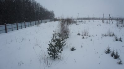 Котеджне селище «Барсове» в новий рік з міськими зручностями - котеджні селища в Підмосков'ї