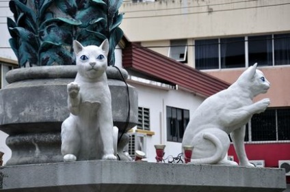 Kuching este capitala statului Sarawak din Borneo