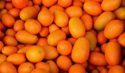 Kumquat proprietăți utile și posibil rău, frumusețe în tine