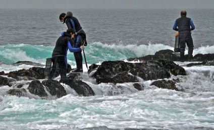 Кухня Галісії percebes, наваха і інші гади морські, trip-point