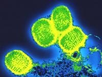 Diagnosticul de laborator al variolei, microorganismelor și microbiologiei