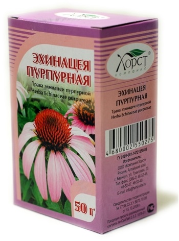 Gyógyászati ​​tulajdonságait Echinacea egészség, ellenjavallatok, alkalmazási utasításokat minden területen