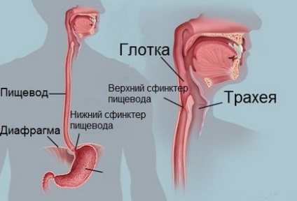 Tratamentul herniei esofagului prin metode și operații tradiționale