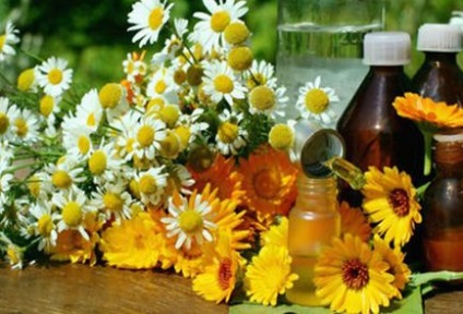 Tratamentul transpirației în iarba acasă, ulei, șir, frunze de dafin și alte remedii folclorice