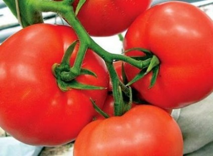 Cele mai bune soiuri determinante de tomate pentru teren deschis