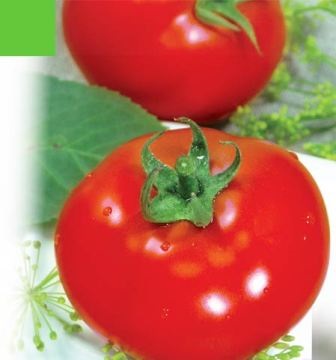 Cele mai bune soiuri determinante de tomate pentru teren deschis
