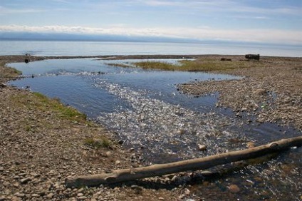 Cele mai bune locuri pentru a călători pe Baikal sunt pisicile mari, baikal