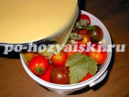 Малосольні помідори з гірчицею, рецепт з фото