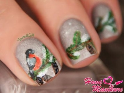 Манікюр з снегирями на нігтях покрокове малювання і фото дизайнів