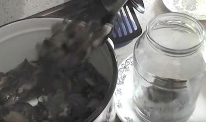 A pácolt gomba télen, sterilizálás nélküli receptek leggyorsabban pácoljuk gombát az otthoni (lé) A pácolt gomba télen, sterilizálás nélküli receptek leggyorsabban páclében gombát otthon