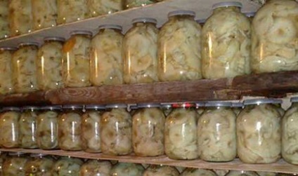 A pácolt gomba télen, sterilizálás nélküli receptek leggyorsabban pácoljuk gombát az otthoni (lé) A pácolt gomba télen, sterilizálás nélküli receptek leggyorsabban páclében gombát otthon