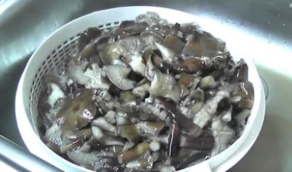 A pácolt gomba télen, sterilizálás nélküli receptek leggyorsabban páclében gombát otthon