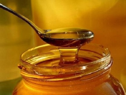 Мед із соснових бруньок рецепт, користь