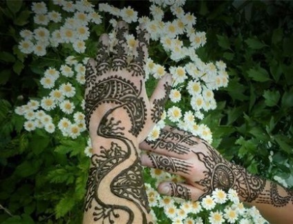 Mehendi ce este să faci o mehendi pe braț și picior la domiciliu (20 de fotografii) cât de mult