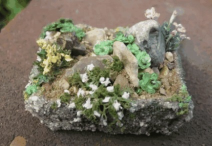 Mini Rock Garden, idei frumoase pentru o grădină