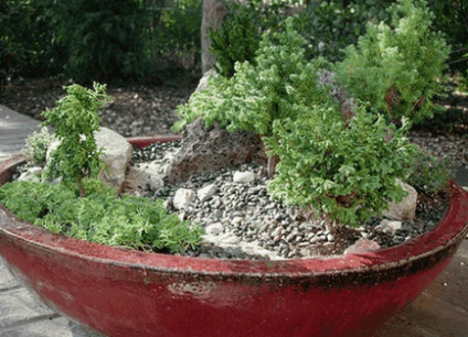 Mini Rock Garden, idei frumoase pentru o grădină
