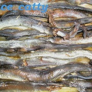 Lamprey sült recept fotókkal (recept) Lamprey sült recept fotókkal