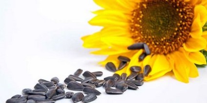 Este posibil să se mănânce semințe de floarea-soarelui în timp ce se pierde în greutate - proprietăți utile de dovleac și floarea-soarelui, compoziția și meniul