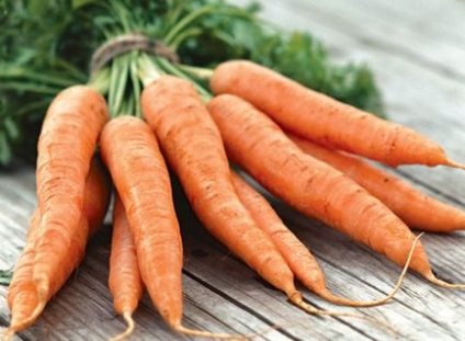 Чи можна кроликам морква