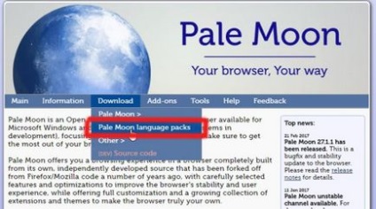 Надійний браузер pale moon для будь-якої операційної системи